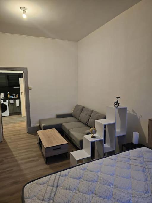 Charmant Petit Pont Ardennais/Cosy/T1/Wifi/Parking ซีดาน ภายนอก รูปภาพ